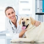 Our Town America Veterinarian New Mover Marketing