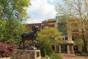 ChapelHill-Ram