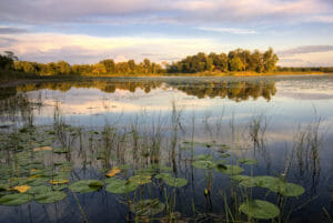 Eden Prairie Lake